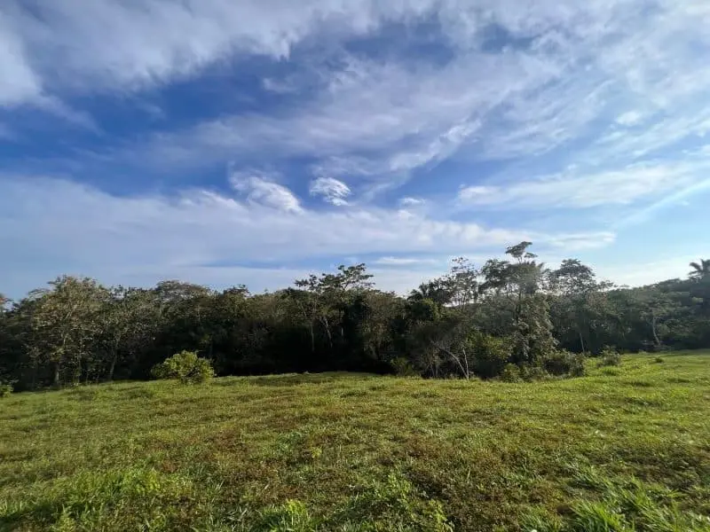 Montezuma Scenic Lots photo 3